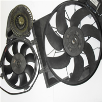 fan